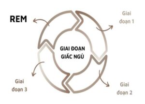 FTT_Giac_ngu_nrem_giai_doan_nay_co_thuc_day_nhan_thuc