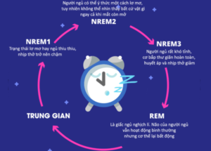 Giai đoạn REM xuất hiện sau 90 phút ngủ